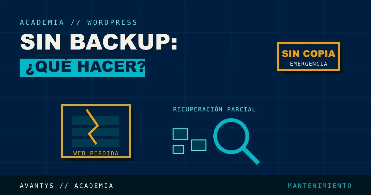 Qué Hacer si Pierdes tu Web WordPress sin Backup