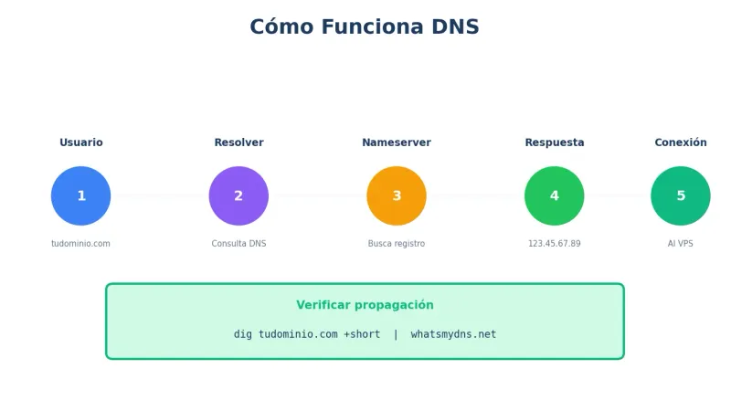 Flujo de DNS