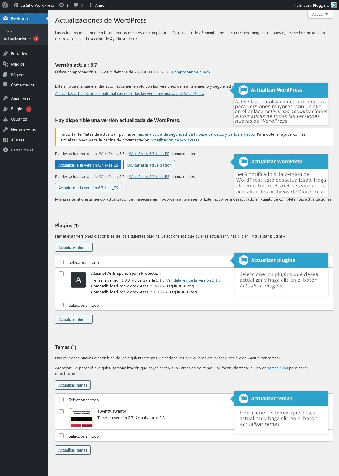 Pantalla de actualizaciones de WordPress