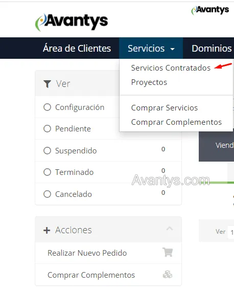 Servicios contratados en el panel de cliente