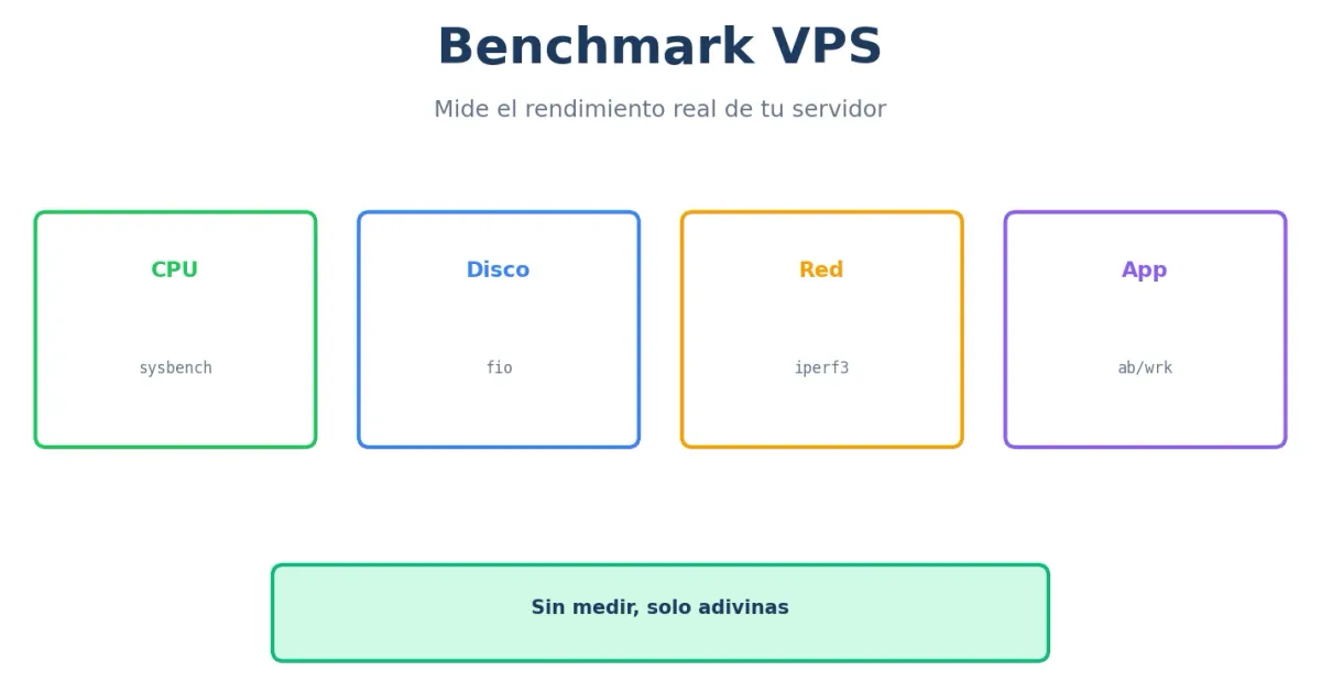 Gráfico de testing y benchmark VPS